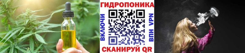 купить наркотик  гидра ONION  Canna-Cookies конопля  Холмск 