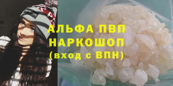 тгк Новодвинск