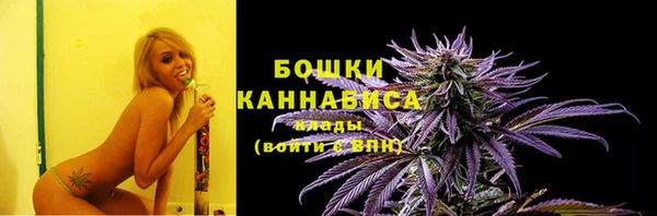 винт Мегион