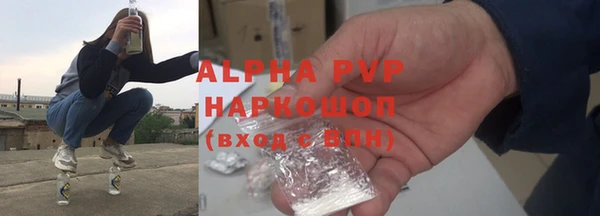 тгк Новодвинск