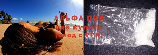 тгк Новодвинск
