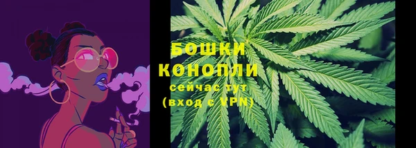 тгк Новодвинск