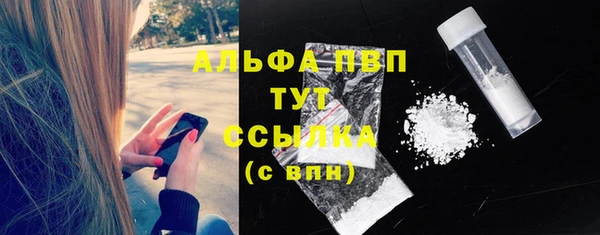 тгк Новодвинск