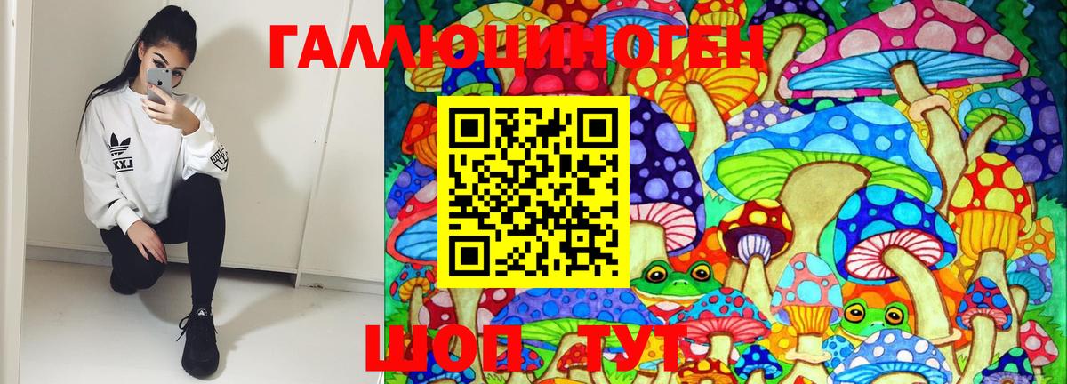 Псилоцибиновые грибы MAGIC MUSHROOMS  Вход с VPN  Галлюциногенные грибы Psilocybe  Холмск 